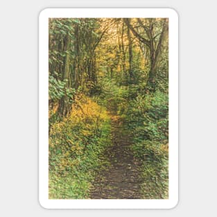 A Woodland Path Sticker